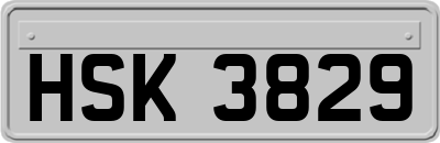 HSK3829