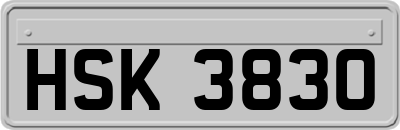 HSK3830