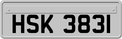 HSK3831