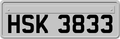 HSK3833
