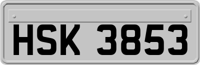 HSK3853