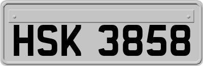 HSK3858