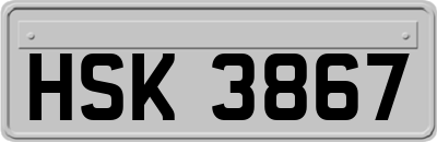 HSK3867
