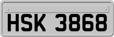 HSK3868