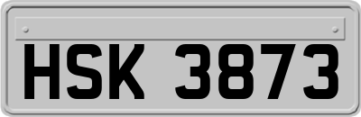 HSK3873