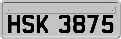 HSK3875