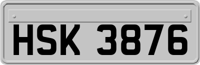 HSK3876