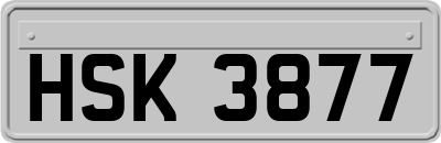 HSK3877