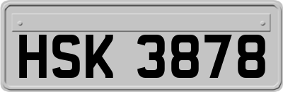 HSK3878