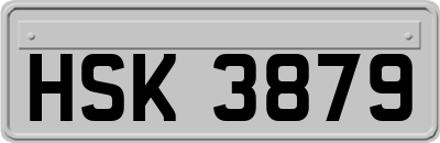 HSK3879