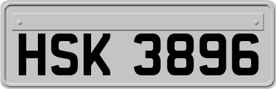 HSK3896