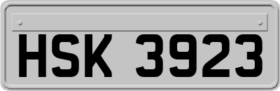HSK3923