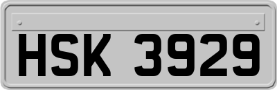 HSK3929