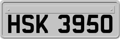 HSK3950