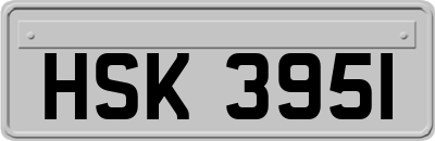 HSK3951