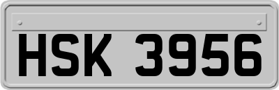 HSK3956