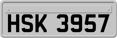 HSK3957