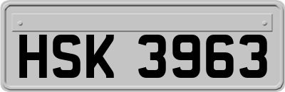 HSK3963