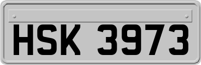 HSK3973