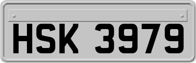 HSK3979