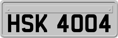 HSK4004