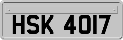 HSK4017