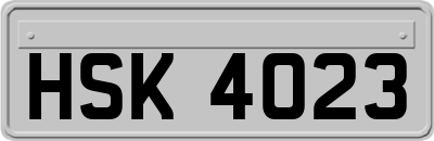 HSK4023