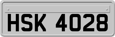 HSK4028
