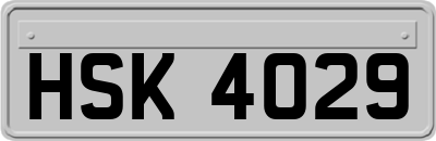 HSK4029