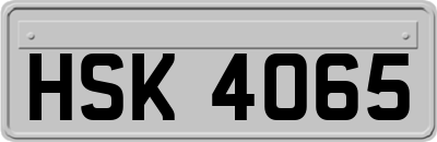HSK4065