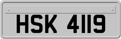 HSK4119