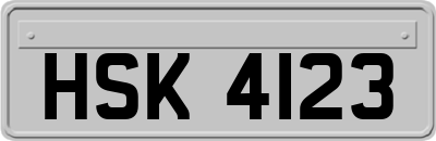 HSK4123