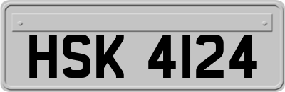 HSK4124