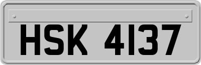HSK4137