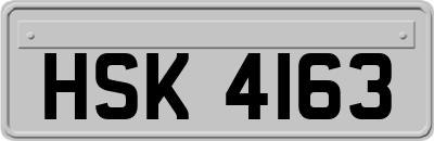 HSK4163