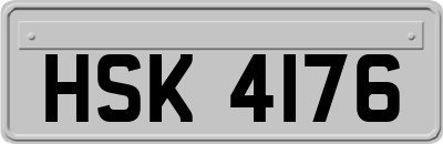 HSK4176