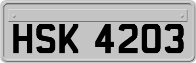HSK4203