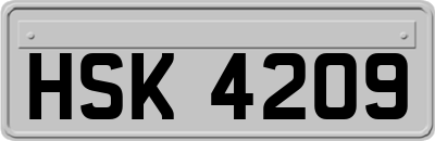 HSK4209