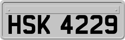 HSK4229
