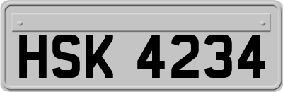 HSK4234