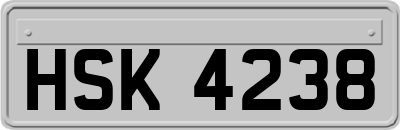 HSK4238