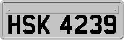 HSK4239