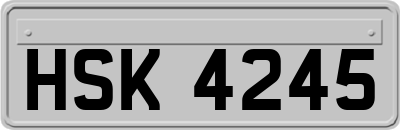 HSK4245