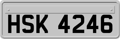 HSK4246