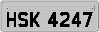 HSK4247
