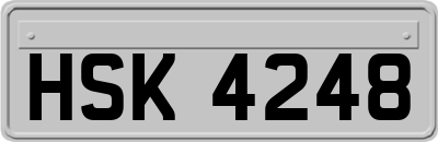 HSK4248