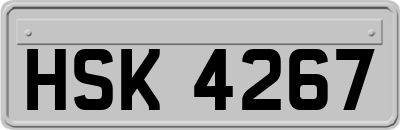 HSK4267