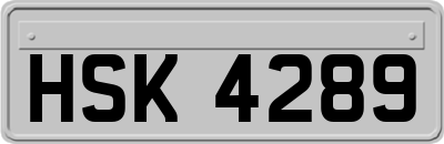 HSK4289