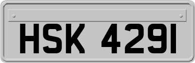 HSK4291