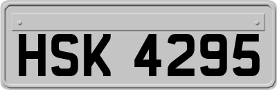 HSK4295